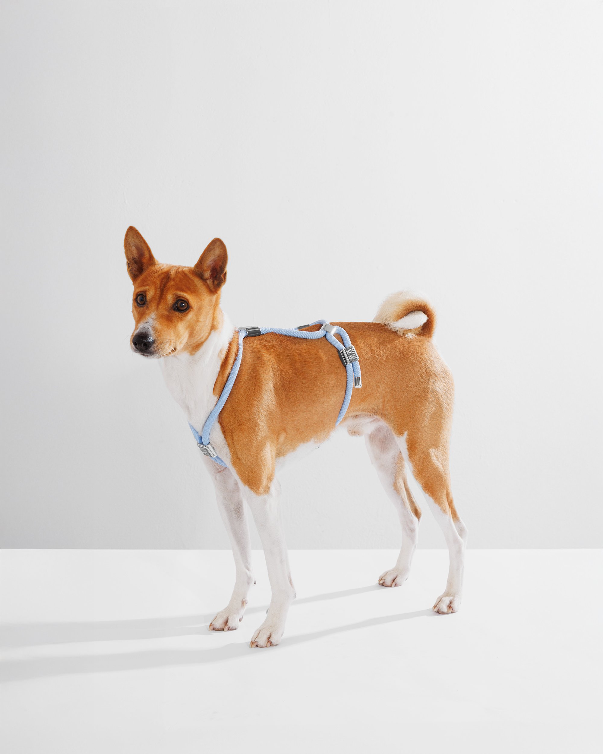 THE HARNESS in Baby Blue — VALKA KUKUR Modern sophsticated leashes